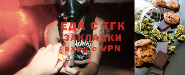 индика Новодвинск