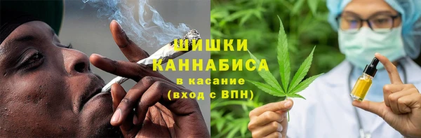 сатива Баксан
