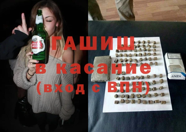 индика Новодвинск