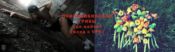 дживик Новокубанск