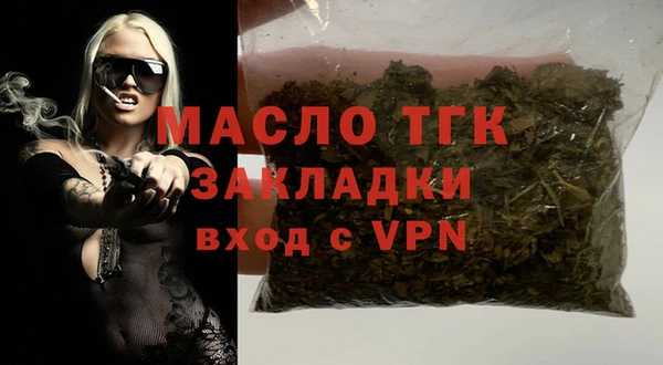 индика Новодвинск